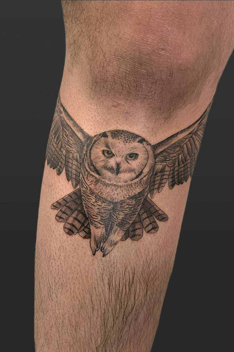 Legacy Tattoo| Black and grey, realism tattoo of an owl