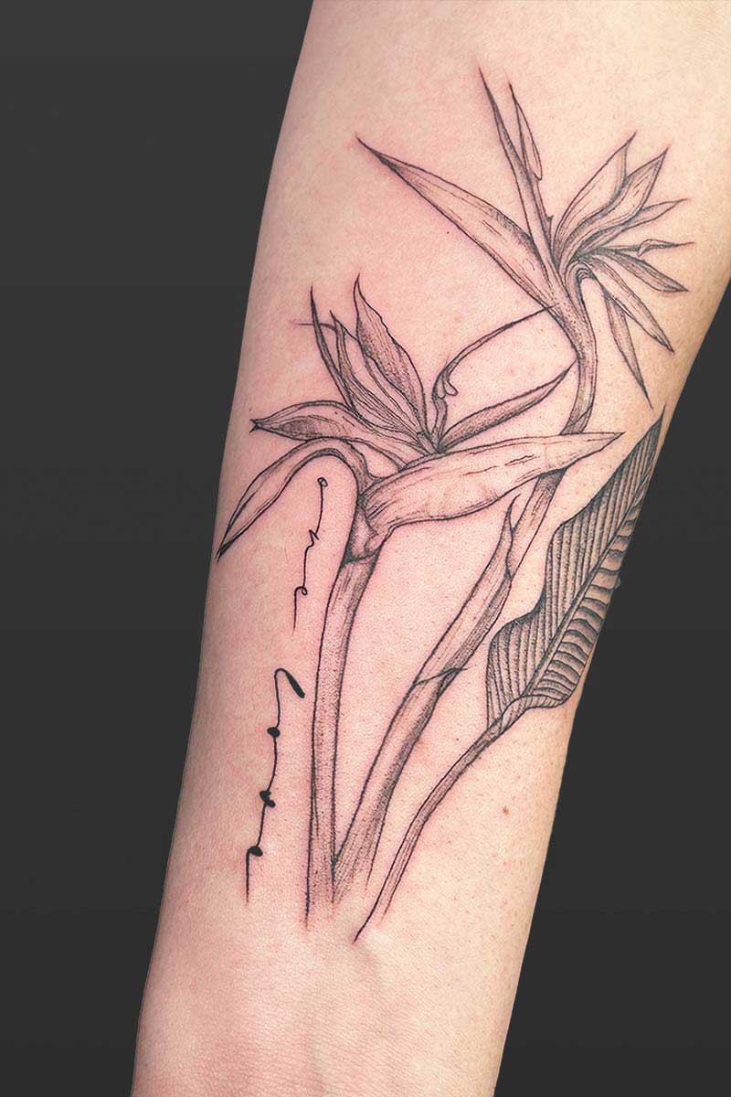Legacy Tattoo| Black and grey, realism tattoo of two birds of paradise plants