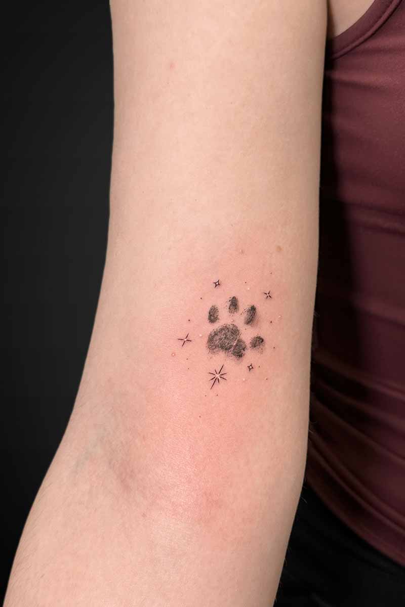 Legacy Tattoo| Walk-in Tattoo| Realism tattoo of a paw print with fineline stars
