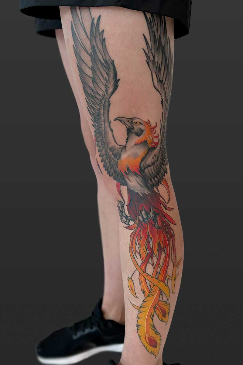 Legacy Tattoo| Neotraditional tattoo of a Phoenix