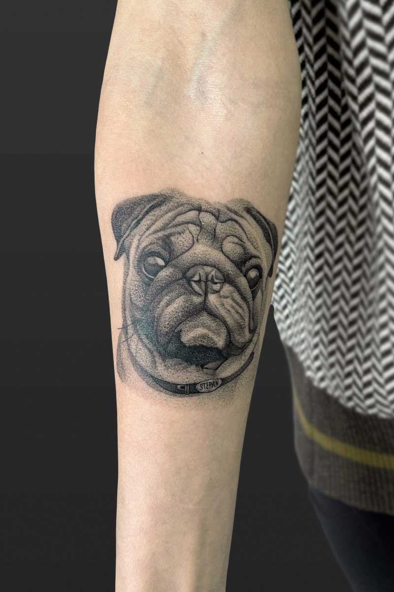 Legacy Tattoo| Realism tattoo of a portrait of a pug