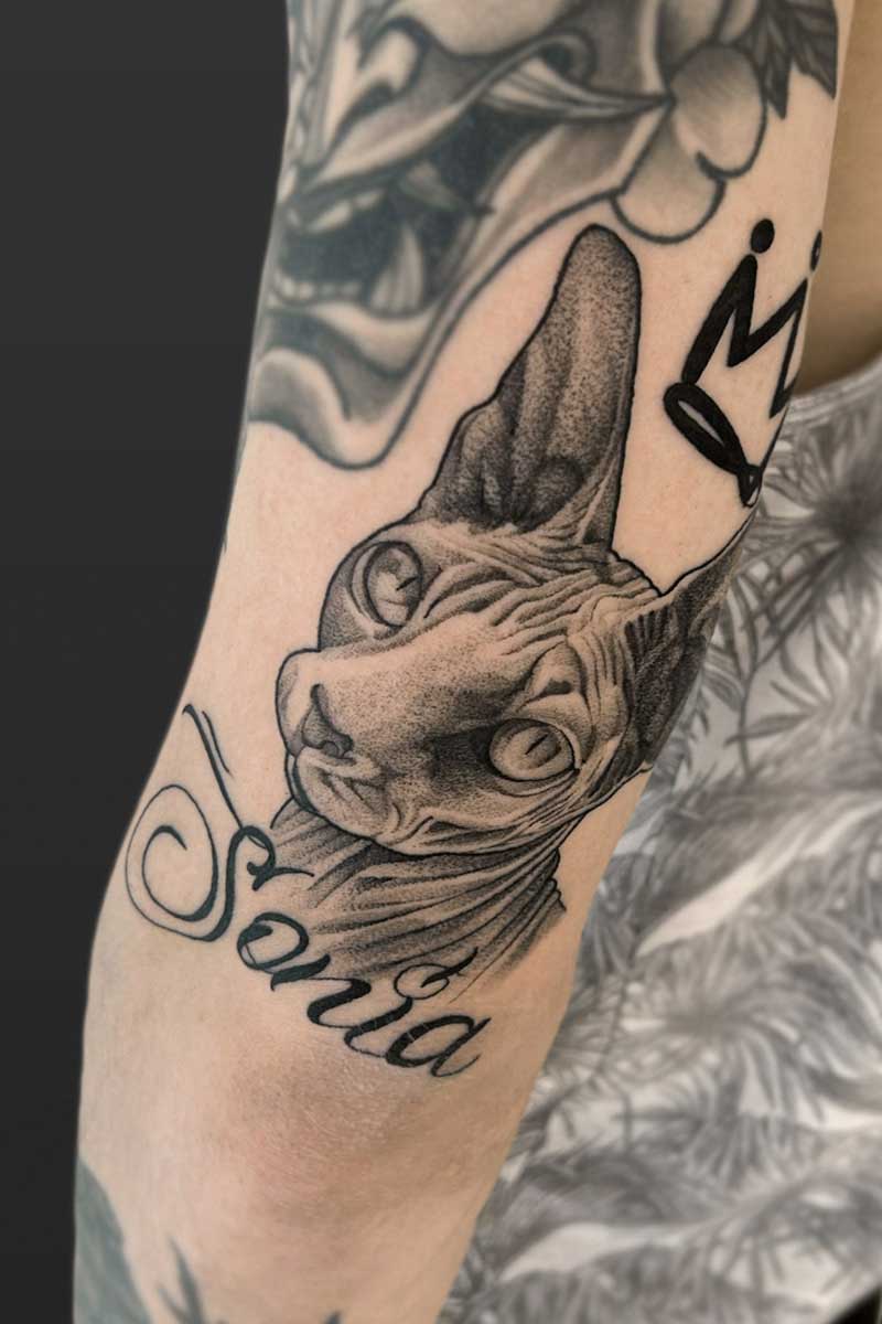 Legacy Tattoo| Black and grey, realism tattoo of a Sphynx cat