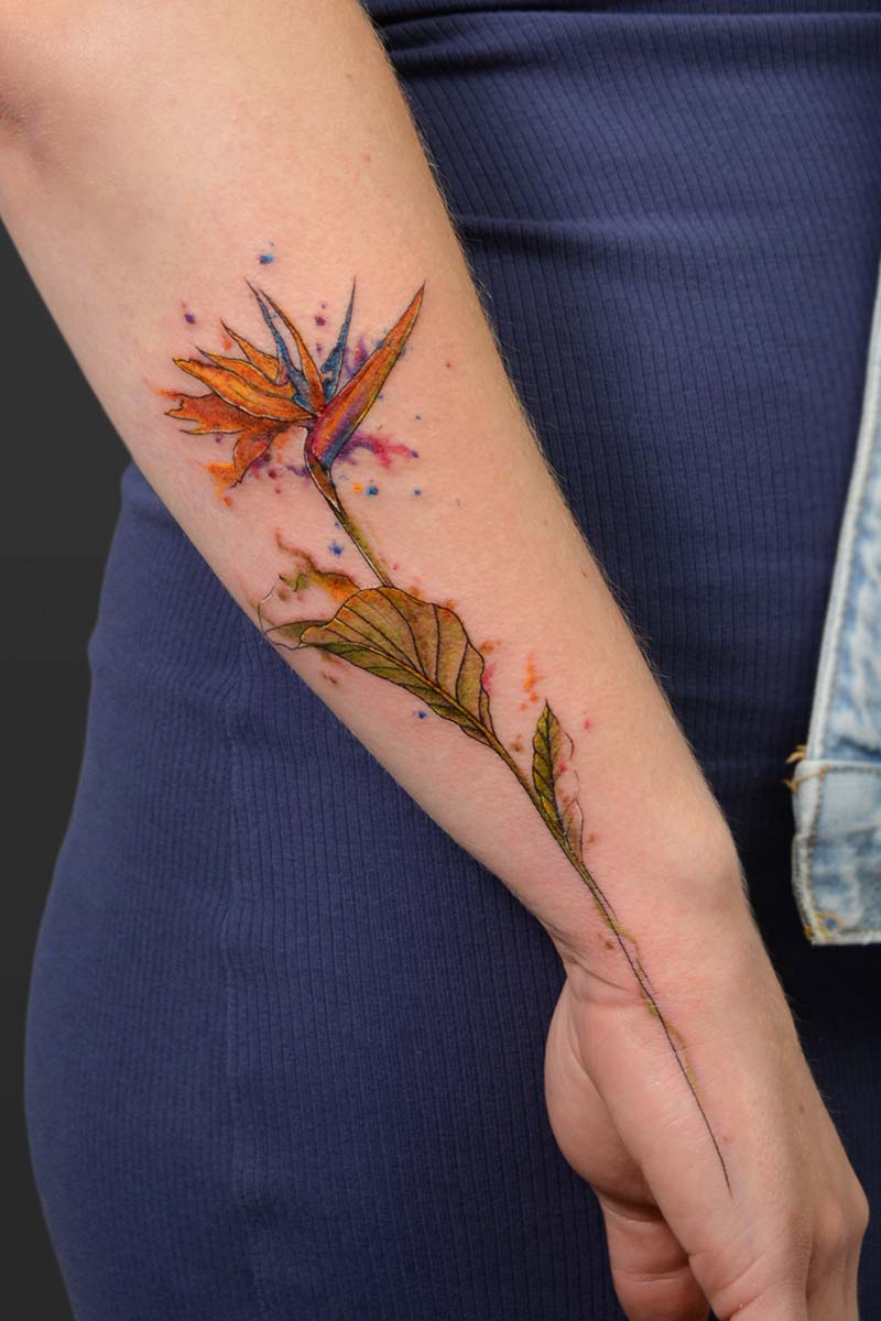 Legacy Tattoo| Fineline, watercolour tattoo of a bird of paradise plant