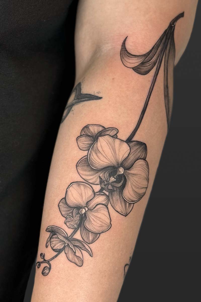 Legacy Tattoo| Black and grey, floral tattoo of an orchid plant